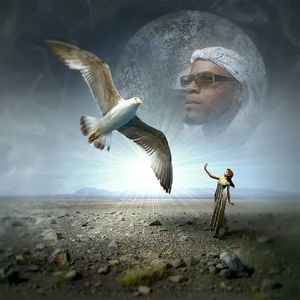 Meet your Posher, Jay